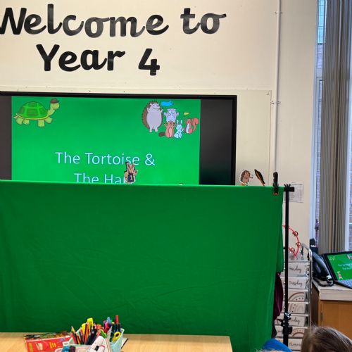 Puppet show 🐢🐇