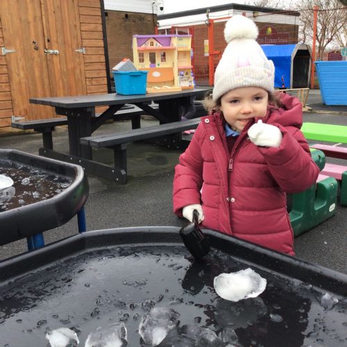 Frozen Animal Rescue Acitivity