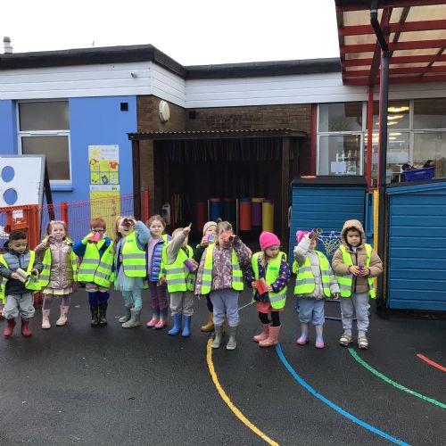 Let's go for a bird walk.