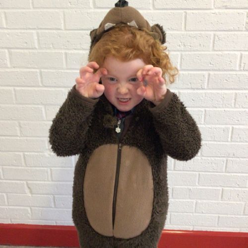 We're Going on a Bear Hunt