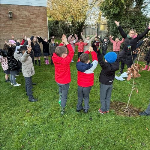 Forest school activities