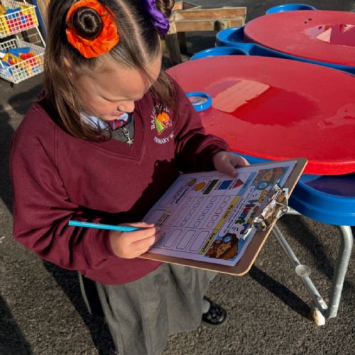 Numeracy - 2D Shape Hunt Outdoors